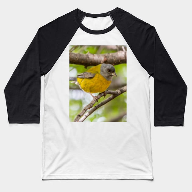 Bird life in Patagonia. Baseball T-Shirt by Femaleform